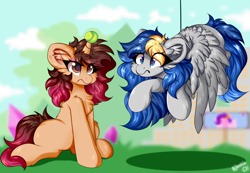 Size: 2602x1801 | Tagged: safe, artist:woonborg, oc, oc only, oc:bluecode, oc:woonie, pegasus, pony, unicorn, g5, my little pony: a new generation, ball, blurry background, cheek fluff, chest fluff, cloud, confused, ear fluff, eye clipping through hair, eyebrows, eyebrows visible through hair, eyelashes, grass, hanging, horn, hornball, irritated, outdoors, signature, sitting, sky, soft color, spread wings, tennis ball, wings, wings down