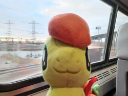 Size: 4000x3000 | Tagged: safe, artist:topsangtheman, peachy sweet, earth pony, pony, g4, :3, amtrak, apple family member, female, filly, irl, looking at you, photo, plushie, solo, train
