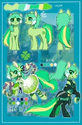 Size: 1337x2048 | Tagged: safe, artist:swaybat, oc, oc only, oc:spirit heart, earth pony, pony, reference sheet, solo