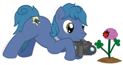 Size: 1280x681 | Tagged: safe, artist:hazel bloons, oc, oc only, oc:meteor zoom, earth pony, insect, ladybug, pony, 2021, blue coat, blue hair, blue mane, blue tail, camera, cutie mark, flower, frog inspector applejack, green eyes, male, simple background, solo, tail
