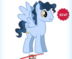 Size: 493x404 | Tagged: safe, gameloft, time flies, pegasus, pony, g4, full body, male, smiling, solo, spread wings, stallion, standing, tail, two toned mane, two toned tail, wavy hair, wavy mane, wings