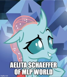 Size: 500x576 | Tagged: safe, edit, edited screencap, screencap, ocellus, changedling, changeling, g4, my little pony: friendship is magic, uprooted, aelita schaeffer, caption, code lyoko, female, image macro, meme, solo, text