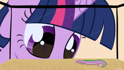 Size: 3840x2160 | Tagged: safe, artist:purblehoers, spike, twilight sparkle, lizard, pony, unicorn, g4, close-up, eye reflection, high res, reflection, size difference, smol, staring contest, staring ponies, terrarium