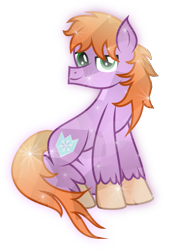 Size: 6089x8941 | Tagged: safe, artist:php178, derpibooru exclusive, oc, oc only, oc:crystal saint, crystal pony, pony, 2022 community collab, derpibooru community collaboration, .svg available, absurd resolution, covering, crystalline, inkscape, looking at you, male, shield, simple background, sitting, smiling, smiling at you, snow, snowflake, solo, stallion, stallion oc, svg, tail, tail curled, transparent background, unshorn fetlocks, vector