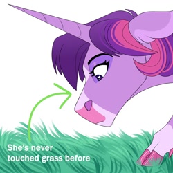 Size: 2000x2000 | Tagged: safe, artist:uunicornicc, twilight sparkle, pony, unicorn, g4, blaze (coat marking), cloven hooves, coat markings, colored hooves, confused, facial markings, grass, heart, heart eyes, high res, ponified animal photo, solo, touch grass, wingding eyes