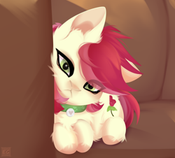 Size: 2280x2060 | Tagged: safe, artist:elektra-gertly, roseluck, cat, earth pony, pony, g4, :<, catified, collar, female, high res, looking at you, mare, pony pet, rosepet, solo, species swap