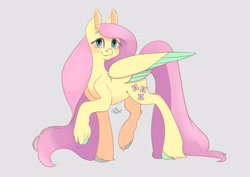 Size: 4092x2893 | Tagged: safe, artist:phroggix, fluttershy, pegasus, pony, g4, blushing, colored wings, colored wingtips, female, gray background, looking at you, mare, simple background, smiling, smiling at you, solo, unshorn fetlocks, wings