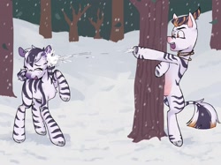 Size: 2010x1500 | Tagged: safe, artist:chorof.apski, oc, oc only, oc:easyhandling, oc:mad buster, zebra, female, forest, male, outdoors, snow, snowball, snowball fight, snowfall, tree, zebra oc