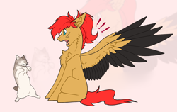 Size: 4284x2700 | Tagged: safe, artist:dorkmark, oc, oc only, cat, pegasus, pony, chest fluff, colored wings, ear fluff, exclamation point, meme, screaming, solo, two toned wings, wings, zoom layer