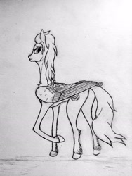 Size: 1728x2304 | Tagged: safe, artist:pegasus_fs, fleetfoot, pegasus, pony, g4, alternate hairstyle, chest fluff, cute, diafleetes, female, folded wings, lineart, looking at you, looking back, mare, monochrome, simple background, slender, solo, thin, traditional art, unshorn fetlocks, wings