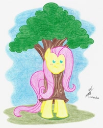 Size: 1616x2000 | Tagged: safe, artist:nightshadow154, fluttershy, pony, g4, beady eyes, clothes, costume, fluttertree, solo, traditional art, tree, tree costume