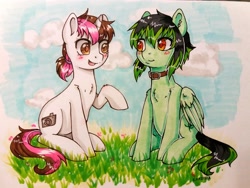 Size: 2560x1920 | Tagged: safe, artist:rosha-krieger, oc, oc:vetta, pegasus, pony, unicorn, collar, duo, female, sitting, smiling, traditional art