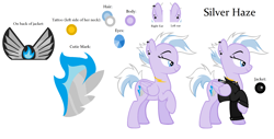 Size: 2480x1264 | Tagged: safe, artist:feather_bloom, oc, oc only, oc:silver haze(kaitykat), pony, reference sheet, simple background, solo, the steel wings, white background