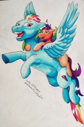 Size: 2510x3797 | Tagged: safe, artist:kim_trikhoof96, rainbow dash, scootaloo, pegasus, pony, g4, flying, high res, solo, traditional art