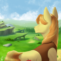 Size: 2048x2048 | Tagged: safe, artist:pheshka, braeburn, earth pony, pony, g4, bush, clothes, cloud, commission, day, grass, high res, male, mountain, outdoors, sky, smiling, solo, stallion, tree, two toned mane, vest, ych result