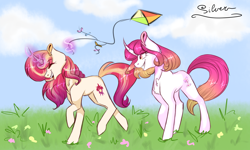 Size: 3000x1800 | Tagged: safe, artist:just-silvushka, oc, oc only, pony, unicorn, duo, female, glowing, glowing horn, grin, horn, kite, magic, mare, outdoors, signature, smiling, telekinesis