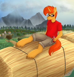 Size: 1786x1856 | Tagged: safe, artist:dyonys, oc, oc:thickwear glasses, unicorn, anthro, unguligrade anthro, can, clopa-cola, clothes, commission, glasses, hay, hay bale, male, mountain, shirt, shorts, sitting, soda can, stallion, t-shirt