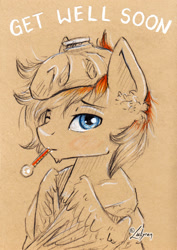 Size: 1240x1748 | Tagged: safe, artist:lailyren, oc, oc only, oc:shade flash, pegasus, pony, solo