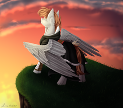 Size: 4000x3500 | Tagged: safe, artist:lunciakkk, oc, oc only, pegasus, pony, commission, solo
