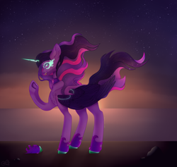 Size: 4692x4452 | Tagged: safe, artist:pokaparida, sci-twi, twilight sparkle, alicorn, pony, equestria girls, g4, absurd resolution, female, midnight sparkle, solo