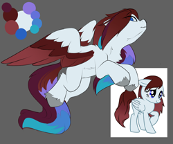 Size: 2496x2072 | Tagged: safe, artist:beardie, oc, oc only, pegasus, pony, colored wings, eyebrows, eyebrows visible through hair, flying, gray background, high res, multicolored hair, neck fluff, pegasus oc, reference sheet, simple background, solo, unshorn fetlocks, wings