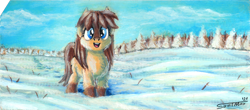 Size: 1200x528 | Tagged: safe, artist:sa1ntmax, oc, oc only, pony, yakutian horse, female, looking at you, mare, outdoors, punch card, smiling, snow, snow mare, solo, traditional art, tree