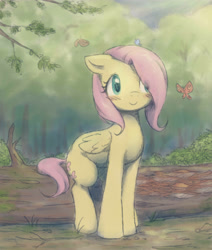 Size: 4241x5000 | Tagged: artist needed, source needed, safe, fluttershy, butterfly, pegasus, pony, g4, absurd resolution, blushing, cute, female, filly, filly fluttershy, floppy ears, folded wings, forest, hair over one eye, log, looking at something, outdoors, shyabetes, smiling, solo, three quarter view, tree, wings, younger