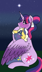 Size: 1800x3100 | Tagged: safe, artist:sereneocean, artist:sereneoceanic, artist:serenewaves, star tracker, twilight sparkle, alicorn, earth pony, pony, g4, blushing, cute, female, hug, male, mare, night, ship:twitracker, shipping, sky, stallion, stars, straight, twilight sparkle (alicorn), winghug, wings