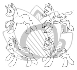 Size: 931x858 | Tagged: safe, artist:royvdhel-art, oc, oc only, earth pony, hippogriff, pegasus, pony, unicorn, bald, base, earth pony oc, hippogriff oc, horn, male, pegasus oc, pony base, stallion, unicorn oc, wings