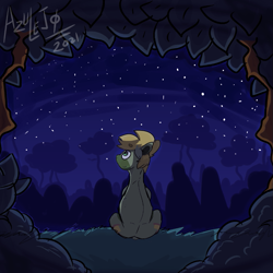 Size: 823x824 | Tagged: safe, artist:azulejo, oc, oc only, oc:bastian, earth pony, pony, earth pony oc, forest, forest background, looking at the sky, looking up, male, night, rear view, request, sitting, solo, stallion, stars