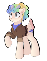 Size: 2774x3580 | Tagged: safe, artist:vetta, oc, oc only, earth pony, pony, clothes, earth pony oc, female, high res, mare, raised hoof, simple background, solo, white background