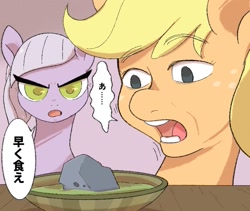 Size: 811x686 | Tagged: safe, artist:noupu, applejack, limestone pie, earth pony, pony, g4, hearthbreakers, bust, colored pupils, dialogue, duo, female, food, japanese, mare, open mouth, rock soup, soup, speech bubble, translated in the comments