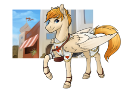 Size: 1600x1200 | Tagged: safe, artist:royvdhel-art, oc, oc only, pegasus, pony, colored wings, male, pegasus oc, simple background, smiling, solo, stallion, two toned wings, white background, wings