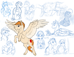 Size: 2420x1864 | Tagged: safe, artist:royvdhel-art, oc, oc only, pegasus, pony, bust, lineart, male, mouth hold, partial color, pegasus oc, sketch, sketch dump, smiling, stallion