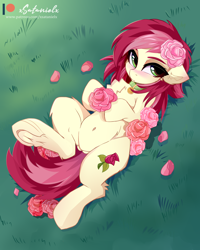 Size: 4000x5000 | Tagged: safe, alternate version, artist:xsatanielx, roseluck, earth pony, pony, rcf community, g4, absurd resolution, belly button, chest fluff, collar, cute, ear fluff, female, flower, grass, lying down, mare, on back, pony pet, rosabetes, rose, rosepet, solo, underhoof