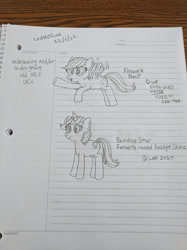 Size: 1280x1707 | Tagged: safe, artist:nightshadowmlp, oc, oc only, oc:firework blast, oc:rainlight shine, pegasus, pony, unicorn, female, lined paper, mare, redesign, text, traditional art