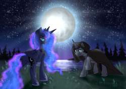 Size: 2828x2000 | Tagged: source needed, safe, artist:not-ordinary-pony, princess luna, shadow lock, alicorn, pony, unicorn, g4, cloak, clothes, commission, female, high res, male, mare, moon, night, scar, sky, stallion, stars