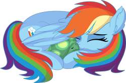 Size: 866x572 | Tagged: safe, artist:cyanlightning, derpibooru exclusive, rainbow dash, tank, pegasus, pony, tortoise, g4, .svg available, backwards cutie mark, cuddling, cute, dashabetes, duo, ear fluff, eyes closed, female, folded wings, male, mare, mlp fim's eleventh anniversary, multicolored hair, multicolored mane, multicolored tail, rainbow hair, rainbow tail, simple background, sleeping, snuggling, tail, transparent background, vector, wings