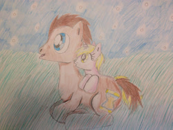 Size: 2048x1536 | Tagged: safe, artist:gibina4ever, dinky hooves, doctor whooves, time turner, earth pony, pony, g4, father and child, father and daughter, female, grass, male, night, stars, the lion king, traditional art