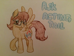Size: 2828x2121 | Tagged: safe, artist:gibina4ever, oc, oc only, oc:acting tail, pegasus, pony, ask, ask acting tail, glasses, high res, pegasus oc, traditional art