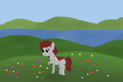 Size: 1280x854 | Tagged: safe, artist:eminent entropy, oc, oc only, oc:skyfire lumia, pegasus, pony, flower, folded wings, hill, lake, meadow, scenery, solo, standing, wings