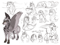 Size: 2420x1844 | Tagged: safe, artist:royvdhel-art, oc, oc only, oc:white noise, pegasus, pony, chest fluff, lineart, male, partial color, pegasus oc, simple background, sitting, sketch, sketch dump, stallion, white background