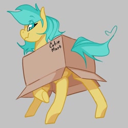 Size: 1000x1000 | Tagged: safe, artist:rirurirue, oc, oc only, oc:boxfilly, pegasus, pony, box, cardboard box, fake cutie mark, female, filly, looking at you, pegasus oc, simple background, smiling, smiling at you, solo