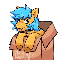 Size: 2000x2000 | Tagged: safe, artist:splisssh, oc, oc only, oc:boxfilly, pegasus, pony, :p, box, cardboard box, chest fluff, female, filly, high res, looking at you, pegasus oc, simple background, solo, tongue out, white background