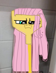 Size: 599x785 | Tagged: artist needed, safe, edit, fluttershy, g4, fluttermop, fluttershy is not amused, meme, mop, objectification, that was fast, unamused