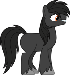 Size: 1024x1091 | Tagged: safe, artist:pegasski, oc, oc only, oc:traveller, earth pony, pony, g4, male, simple background, solo, stallion, transparent background