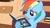 Size: 1280x720 | Tagged: safe, editor:rarity vrymer collective, screencap, rainbow dash, pegasus, pony, a friend in deed, g4, my little pony: friendship is magic, season 2, blue coat, blue fur, blue pony, blue wings, book, daring do book, female, folded wings, golden oaks library, magenta eyes, mare, multicolored hair, multicolored mane, rainbow hair, reading, smiling, solo, wings