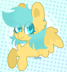 Size: 2515x2683 | Tagged: safe, artist:hannidashycatt, oc, oc only, oc:boxfilly, pegasus, pony, bust, female, filly, high res, pegasus oc, simple background, smiling, solo, wings