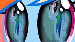 Size: 1920x1080 | Tagged: safe, editor:rarity vrymer collective, screencap, rainbow dash, g4, magical mystery cure, may the best pet win, a true true friend, eye reflection, multicolored hair, multicolored mane, multicolored tail, reflection, tail