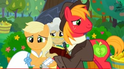 Size: 1290x720 | Tagged: safe, artist:dawkinsdalmatian, edit, edited screencap, screencap, applejack, big macintosh, mayor mare, earth pony, pony, g4, the big mac question, applecest, brother and sister, character swap, female, incest, male, mare, marriage, ship:applemac, shipping, siblings, stallion, straight, wedding